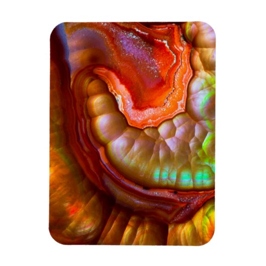 Roter Feueropal Magnet (Vertikal)