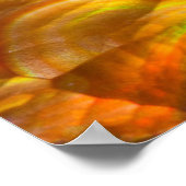 Roter Feueropal Poster (Ecke)