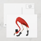 Roter Flamingo im Hut Postkarte (Vorne/Hinten)