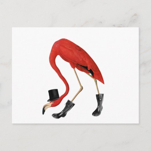 Roter Flamingo im Hut Postkarte (Vorderseite)