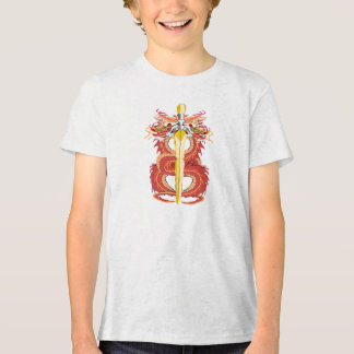 Roter Flammendrache gelber Schwert Tri-Blend Shirt