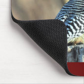 Roter Flecker und Roter Kardinal Mousepad (Ecke)