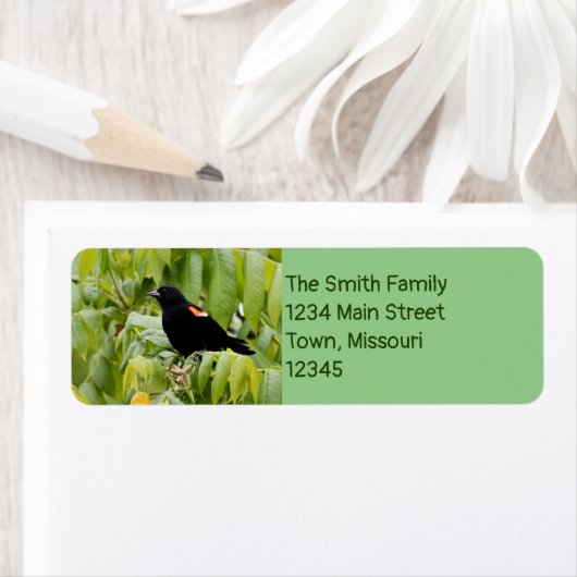 Roter Flügel (Insitu)