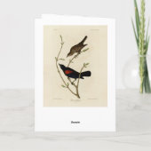 Roter Flügel Blackbird - Audubons Vögel in Amerika Karte (Rückseite)