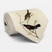 Roter Flügel Blackbird - Audubons Vögel in Amerika Krawatte (Gerollt)