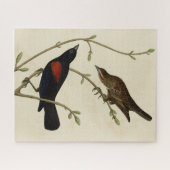 Roter Flügel Blackbird - Audubons Vögel in Amerika Puzzle (Horizontal)