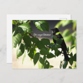 Roter Flügel-Blackbird-Postkarte Postkarte (Vorne/Hinten)