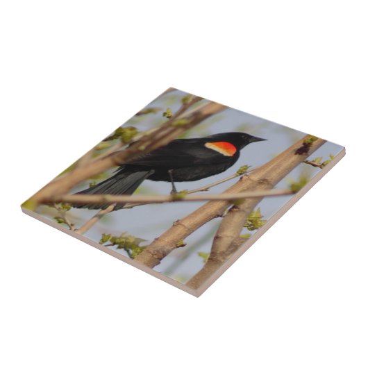 Roter Flügel Fliese (Seite)