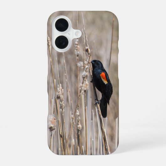 Roter Flügel iPhone 16 Hülle (Rückseite)