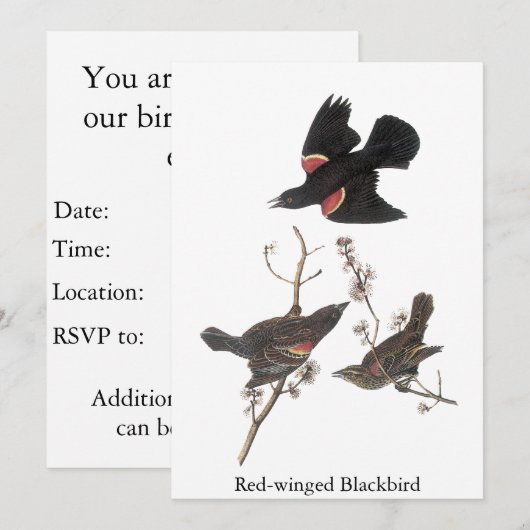 Roter Flügel, John Audubon Einladung (Vorne/Hinten)