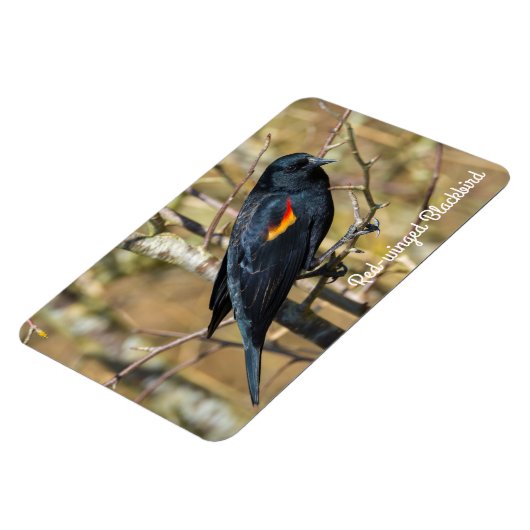 Roter Flügel Magnet (Linke Seite)