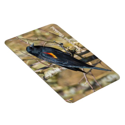 Roter Flügel Magnet (Rechte Seite)