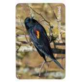 Roter Flügel Magnet (Vertikal)