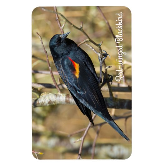 Roter Flügel Magnet (Vertikal)