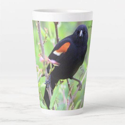 Roter Flügel Milchtasse (Vorderseite)