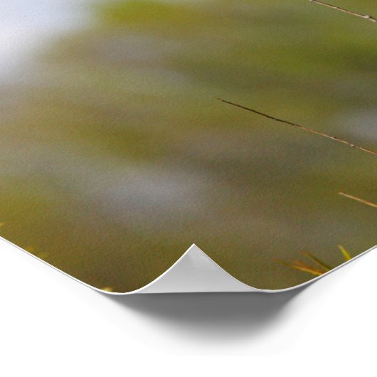 Roter Flügel Poster (Ecke)