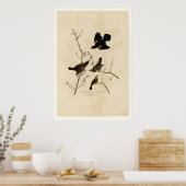 Roter Flügel Poster (Küche)