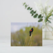 Roter Flügel Postkarte (Stehend Vorderseite)