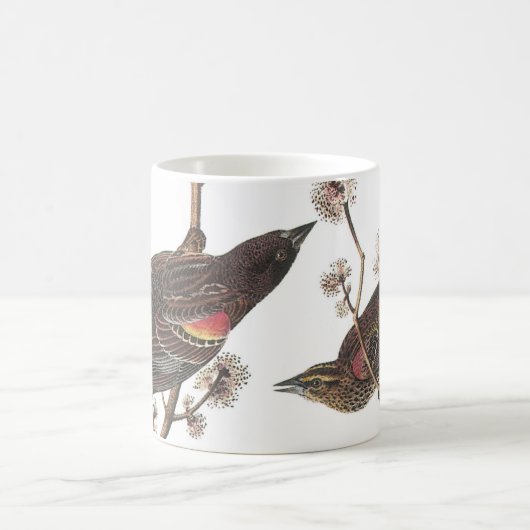 Roter Flügel von Audubon Kaffeetasse (Mittel)