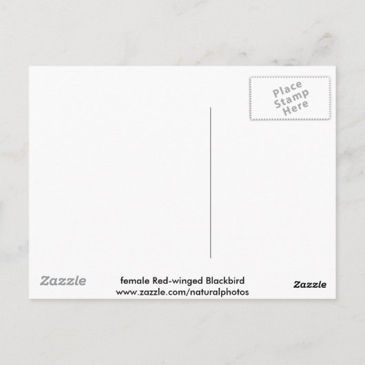 Roter Flügel (Weibchen) Postkarte (Rückseite)