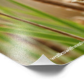 Roter Flügelschwarz im Sumpf Fotodruck (Ecke)