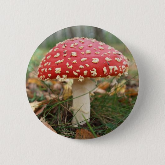 Roter Fly Agaric Button (Vorderseite)