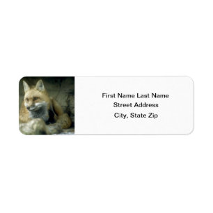 Roter Fox