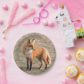 Roter Fox auf einem Gebiet Pappteller (Party)