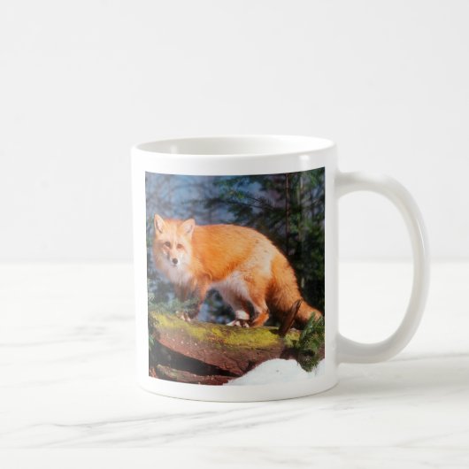 Roter Fox auf einem log Kaffeetasse (Rechts)