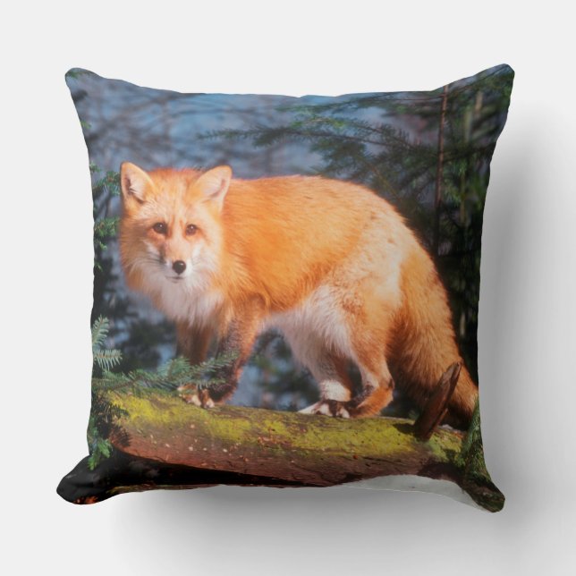 Roter Fox auf einem log Kissen (Vorderseite)