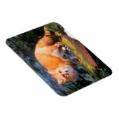 Roter Fox auf einem log Magnet (Rechte Seite)