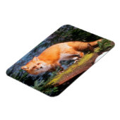 Roter Fox auf einem log Magnet (Linke Seite)