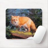 Roter Fox auf einem log Mousepad (Mit Mouse)