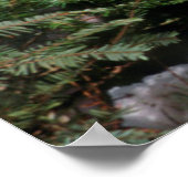 Roter Fox auf einem log Poster (Ecke)