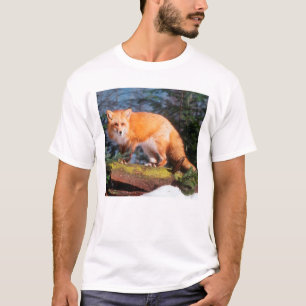 Roter Fox auf einem log T-Shirt