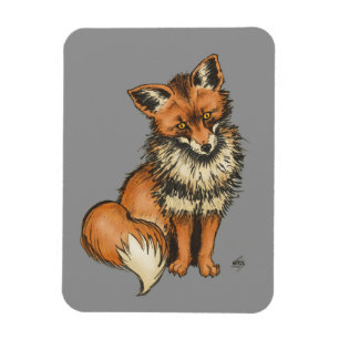 Roter Fox auf grauem Hintergrund Magnet