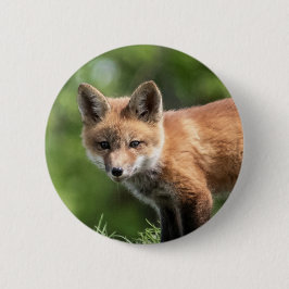 Roter Fox-Ausrüstung Button