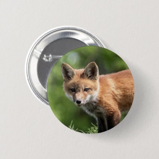 Roter Fox-Ausrüstung Button (Vorne & Hinten)