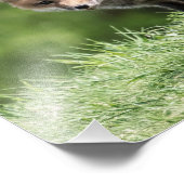 Roter Fox-Ausrüstung Fotodruck (Ecke)