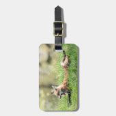 Roter Fox-Ausrüstung Gepäckanhänger (Vorderseite vertikal)