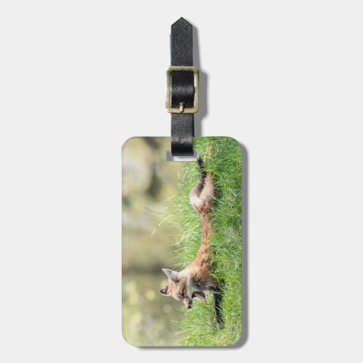 Roter Fox-Ausrüstung Gepäckanhänger (Vorderseite vertikal)