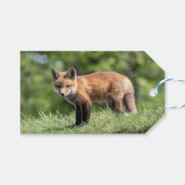 Roter Fox-Ausrüstung Geschenkanhänger