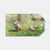 Roter Fox-Ausrüstung Geschenkanhänger (Vorderseite (Horizontal))