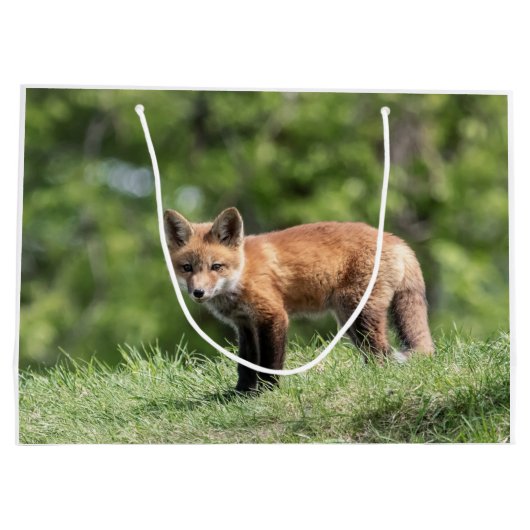 Roter Fox-Ausrüstung Große Geschenktüte (Rückseite)