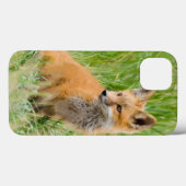 Roter Fox-Ausrüstung im Gras nahe Höhle Case-Mate iPhone Hülle (Rückseite (Horizontal))
