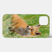 Roter Fox-Ausrüstung im Gras nahe Höhle Case-Mate iPhone Hülle (Rückseite (Horizontal))