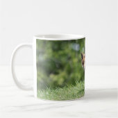 Roter Fox-Ausrüstung Kaffeetasse (Links)