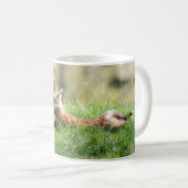 Roter Fox-Ausrüstung Kaffeetasse (VorderseiteRechts)