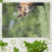 Roter Fox-Ausrüstung Küchentuch (Gefaltet)