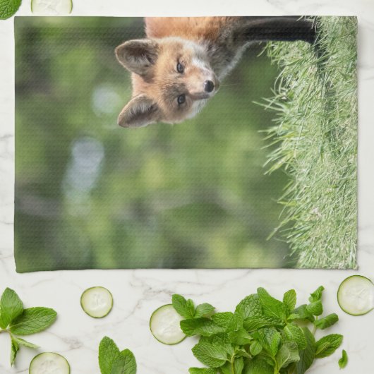 Roter Fox-Ausrüstung Küchentuch (Gefaltet)